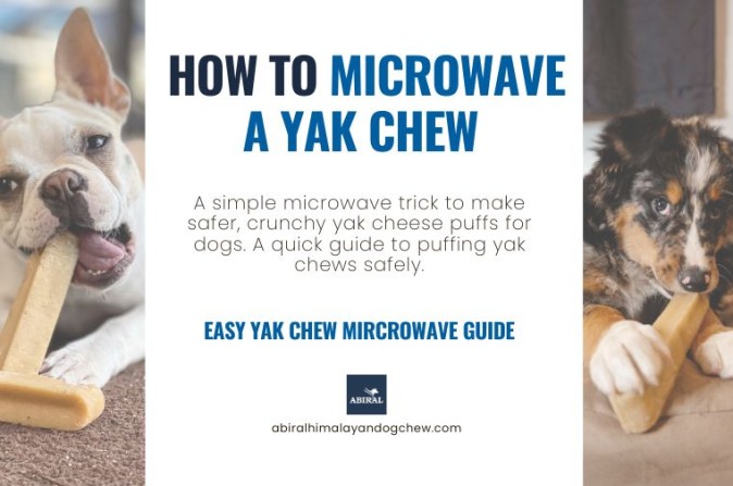 How to Microwave Himalayan Yak Chew Safely