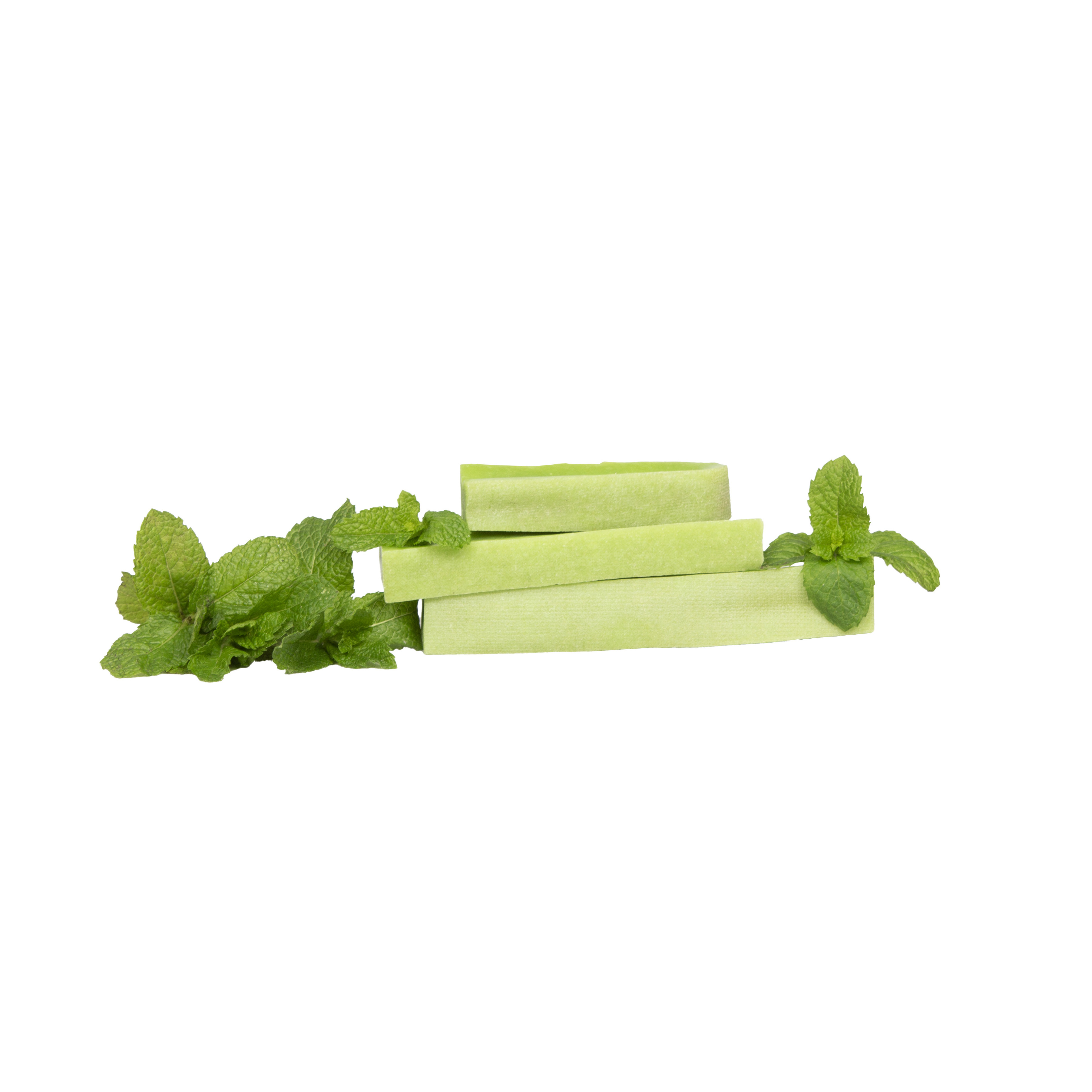 Mint Flavoured Dog Chew